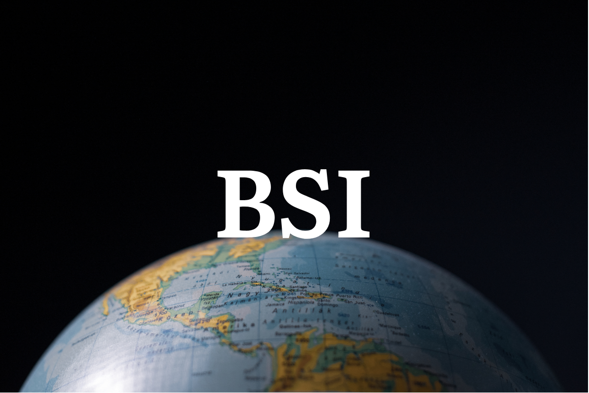 BSI (Bachelors of Science In Intelligence)